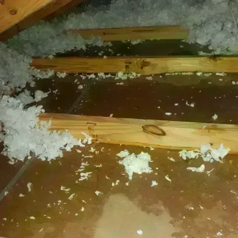 Attic Water Damage in Sutton, NH